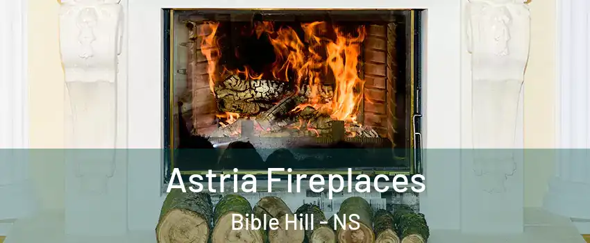  Astria Fireplaces Bible Hill - NS