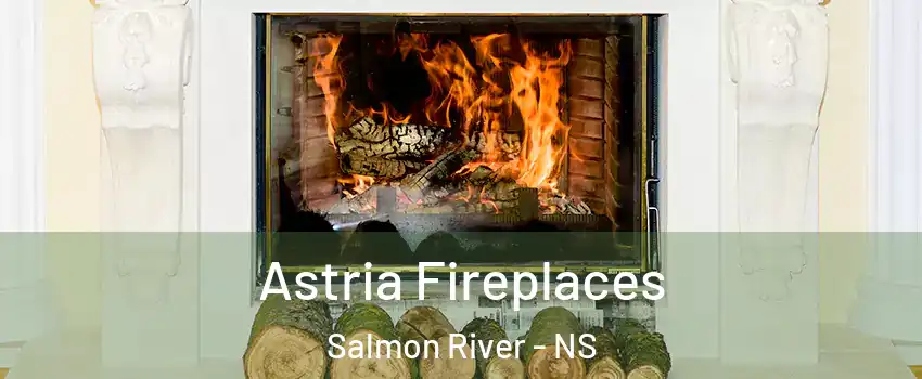  Astria Fireplaces Salmon River - NS