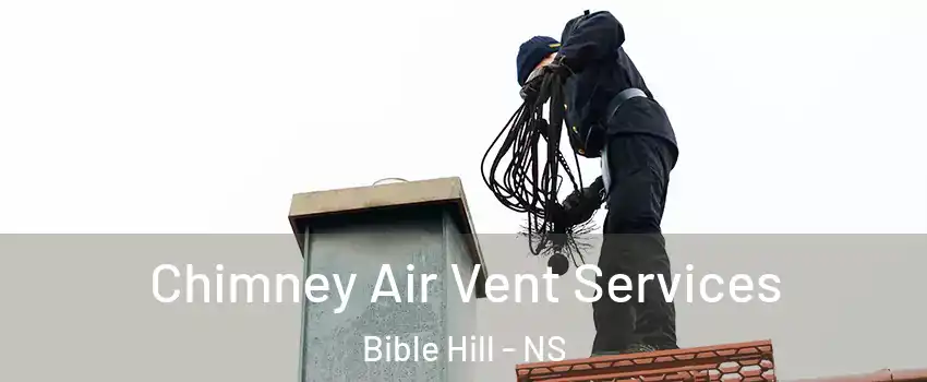  Chimney Air Vent Services Bible Hill - NS