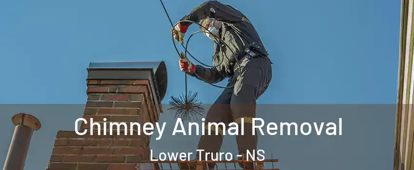  Chimney Animal Removal Lower Truro - NS