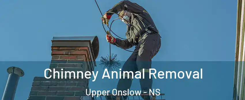  Chimney Animal Removal Upper Onslow - NS