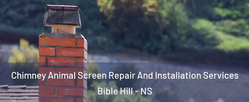  Chimney Animal Screen Repair And Installation Services Bible Hill - NS