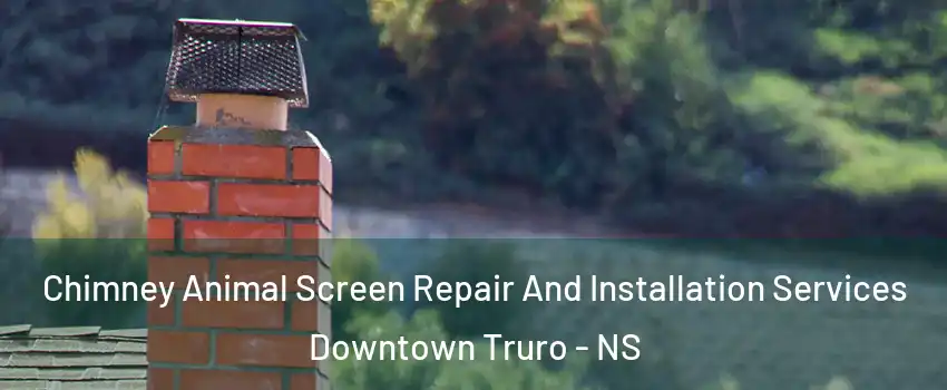  Chimney Animal Screen Repair And Installation Services Downtown Truro - NS