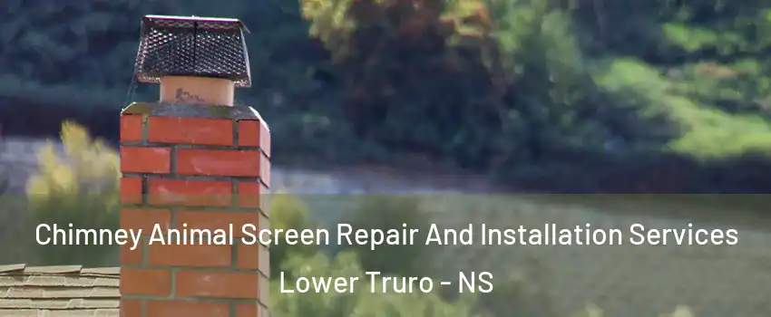  Chimney Animal Screen Repair And Installation Services Lower Truro - NS