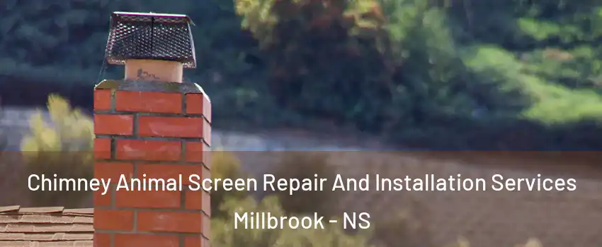 Chimney Animal Screen Repair And Installation Services Millbrook - NS