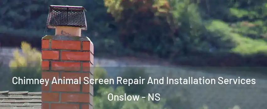  Chimney Animal Screen Repair And Installation Services Onslow - NS