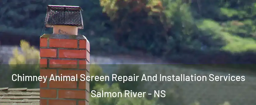  Chimney Animal Screen Repair And Installation Services Salmon River - NS