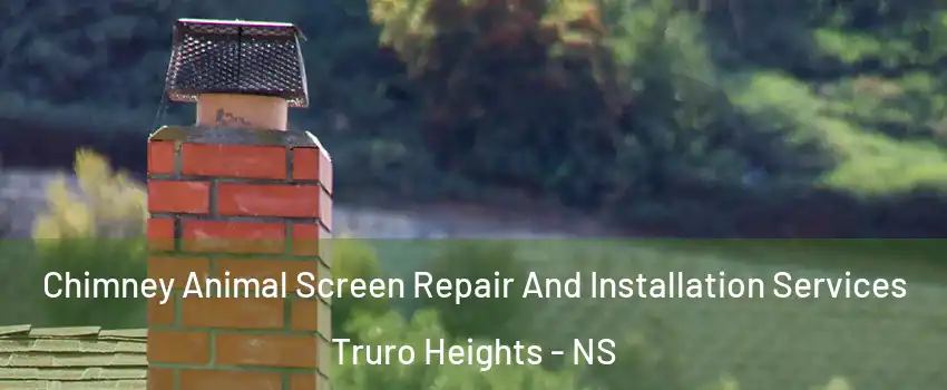  Chimney Animal Screen Repair And Installation Services Truro Heights - NS