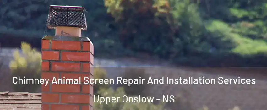 Chimney Animal Screen Repair And Installation Services Upper Onslow - NS