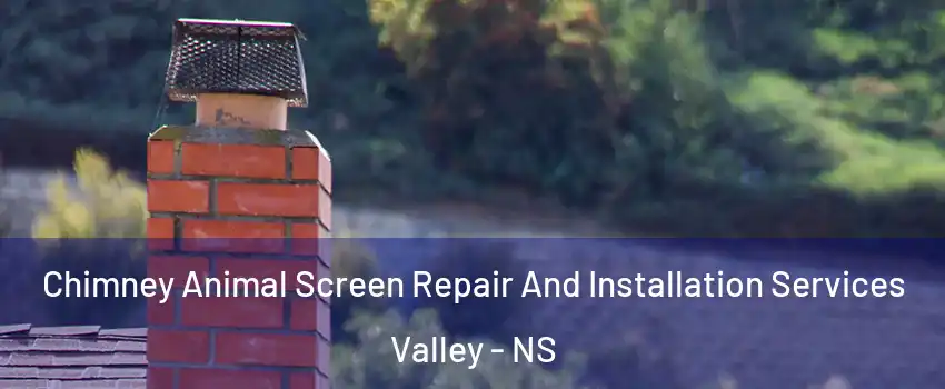  Chimney Animal Screen Repair And Installation Services Valley - NS
