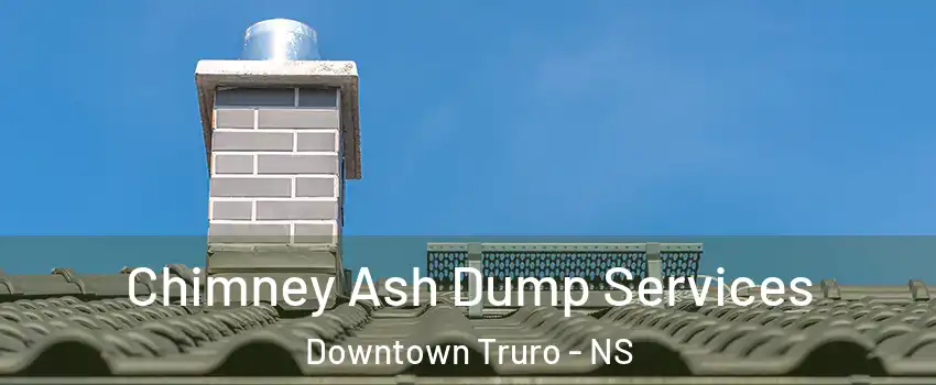 Chimney Ash Dump Services Downtown Truro - NS