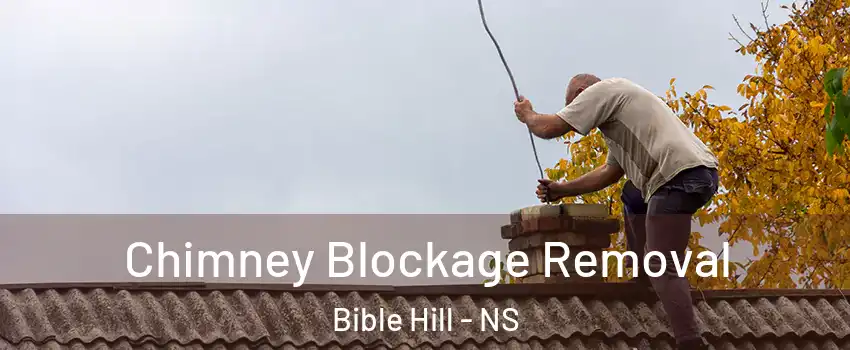  Chimney Blockage Removal Bible Hill - NS