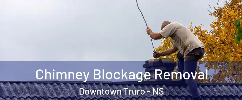  Chimney Blockage Removal Downtown Truro - NS