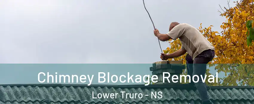  Chimney Blockage Removal Lower Truro - NS