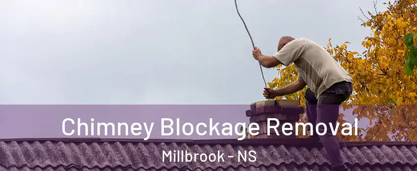  Chimney Blockage Removal Millbrook - NS