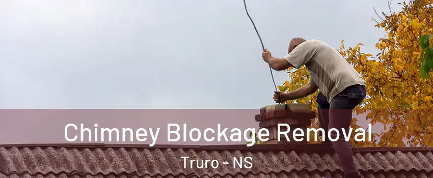  Chimney Blockage Removal Truro - NS