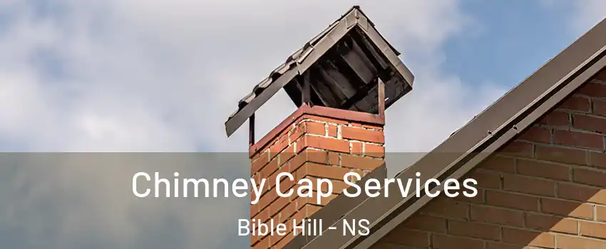  Chimney Cap Services Bible Hill - NS