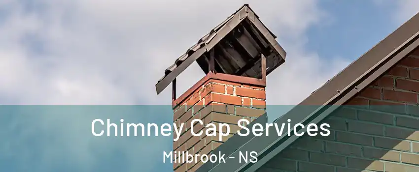  Chimney Cap Services Millbrook - NS
