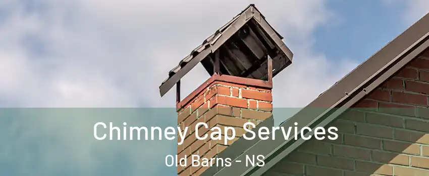  Chimney Cap Services Old Barns - NS