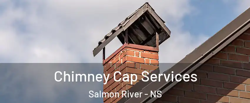  Chimney Cap Services Salmon River - NS