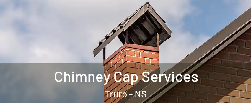  Chimney Cap Services Truro - NS