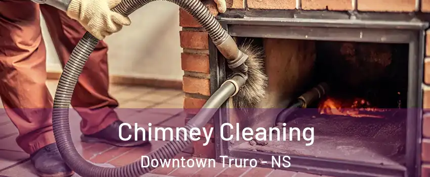  Chimney Cleaning Downtown Truro - NS