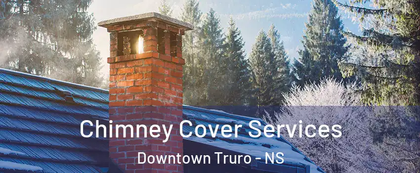  Chimney Cover Services Downtown Truro - NS