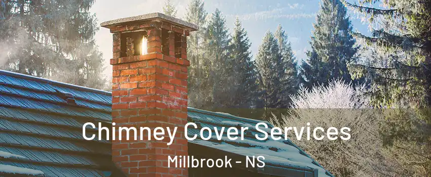  Chimney Cover Services Millbrook - NS