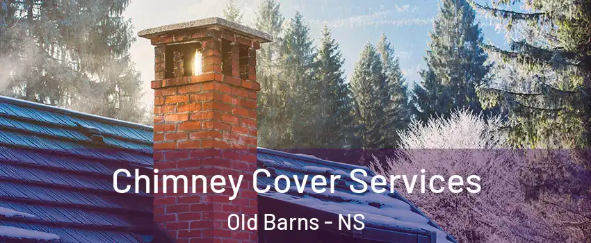  Chimney Cover Services Old Barns - NS