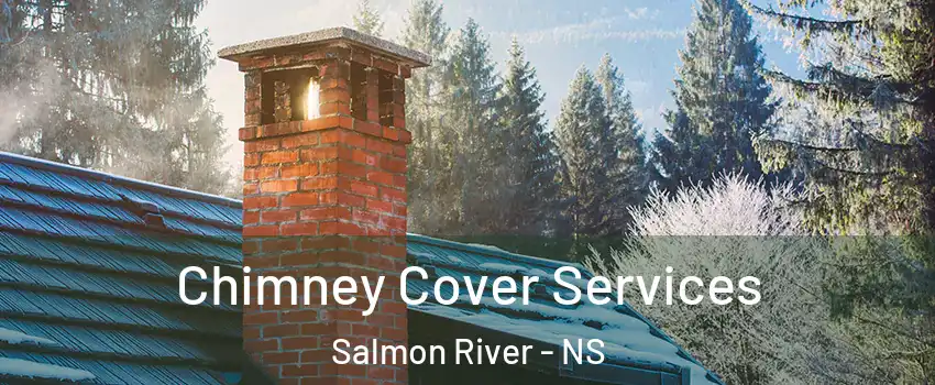  Chimney Cover Services Salmon River - NS
