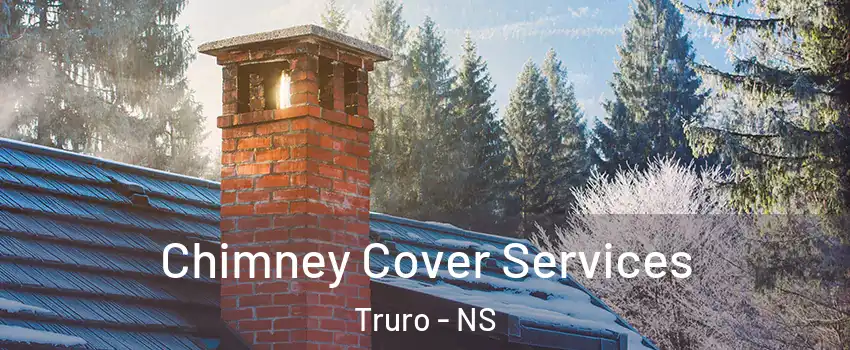  Chimney Cover Services Truro - NS