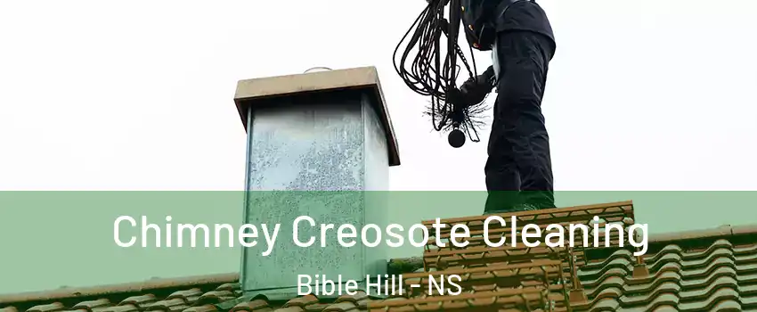 Chimney Creosote Cleaning Bible Hill - NS