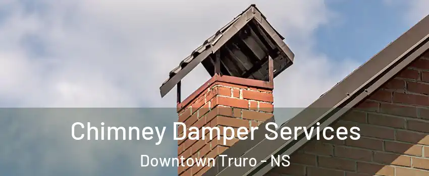  Chimney Damper Services Downtown Truro - NS