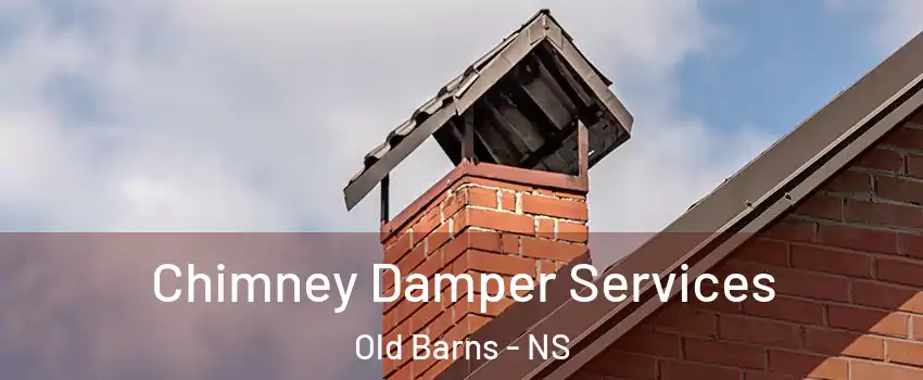  Chimney Damper Services Old Barns - NS