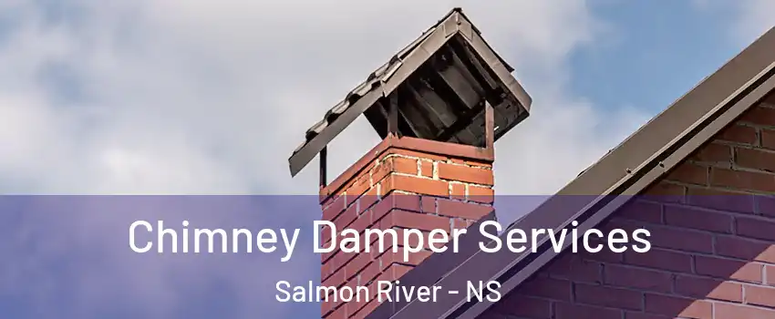  Chimney Damper Services Salmon River - NS
