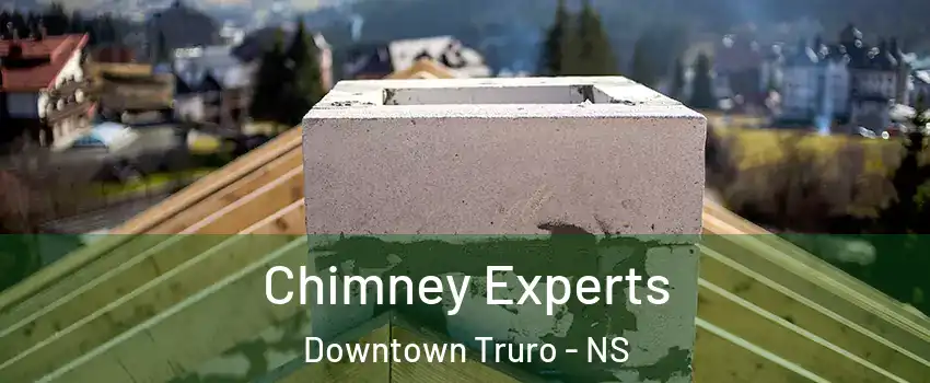  Chimney Experts Downtown Truro - NS