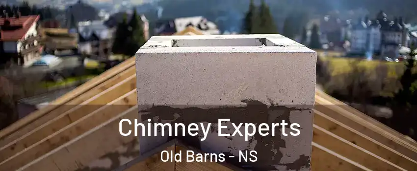  Chimney Experts Old Barns - NS