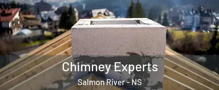  Chimney Experts Salmon River - NS
