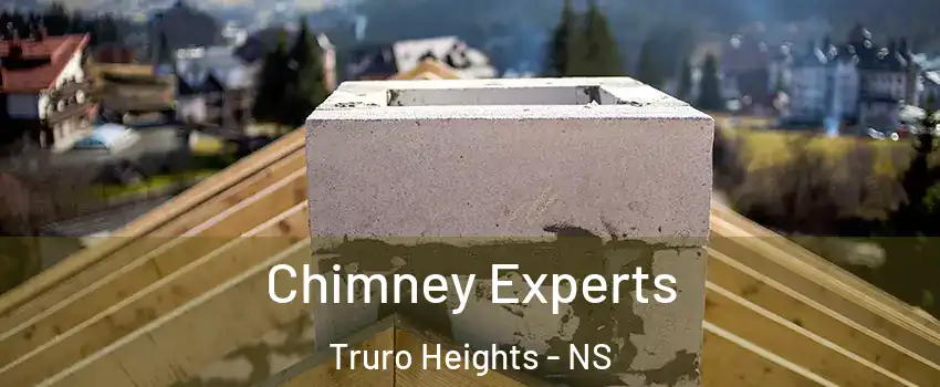  Chimney Experts Truro Heights - NS