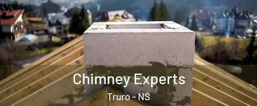  Chimney Experts Truro - NS