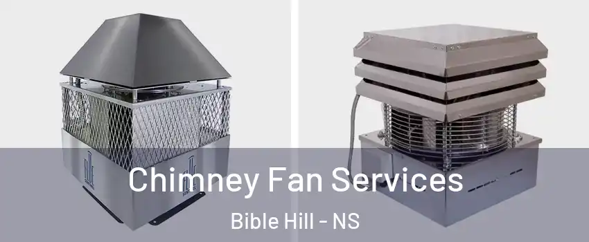  Chimney Fan Services Bible Hill - NS