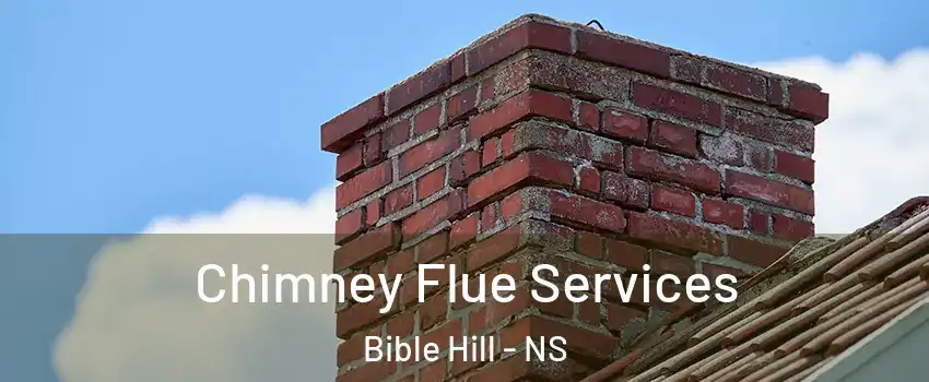  Chimney Flue Services Bible Hill - NS