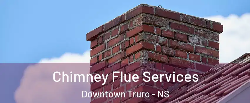  Chimney Flue Services Downtown Truro - NS