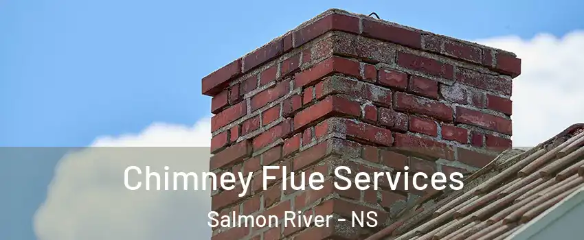  Chimney Flue Services Salmon River - NS