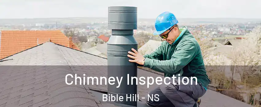  Chimney Inspection Bible Hill - NS