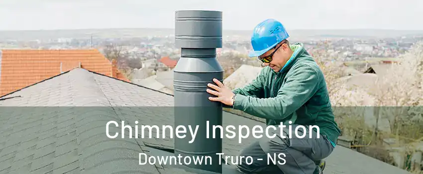  Chimney Inspection Downtown Truro - NS