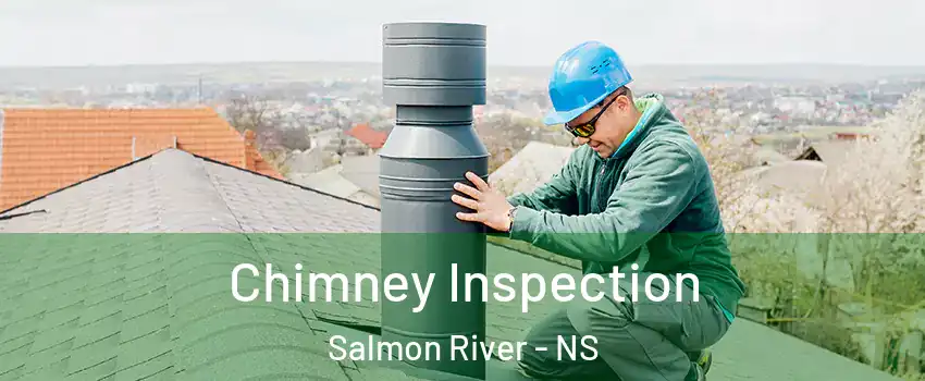  Chimney Inspection Salmon River - NS