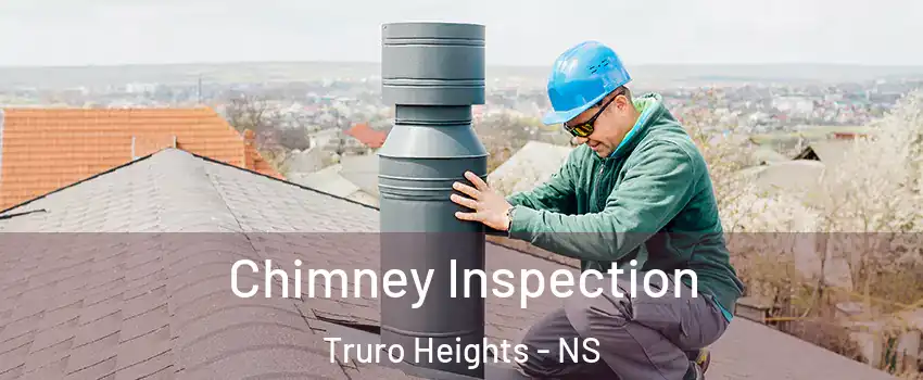  Chimney Inspection Truro Heights - NS