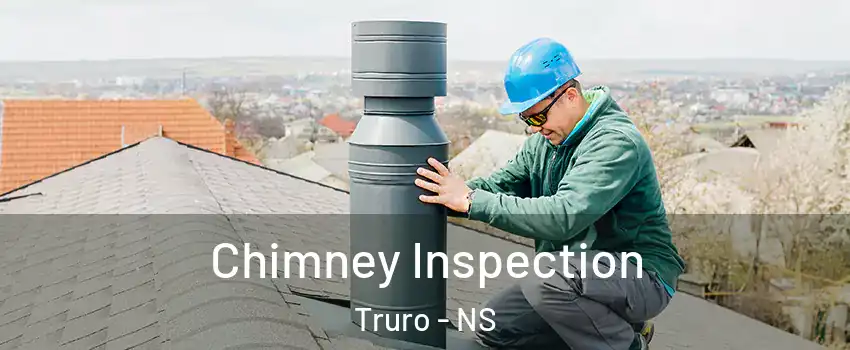  Chimney Inspection Truro - NS