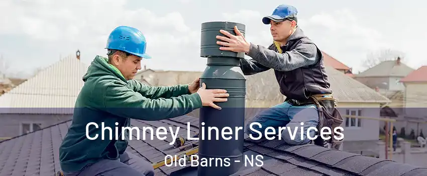  Chimney Liner Services Old Barns - NS